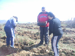 Day of the tree â€“ Plant your future